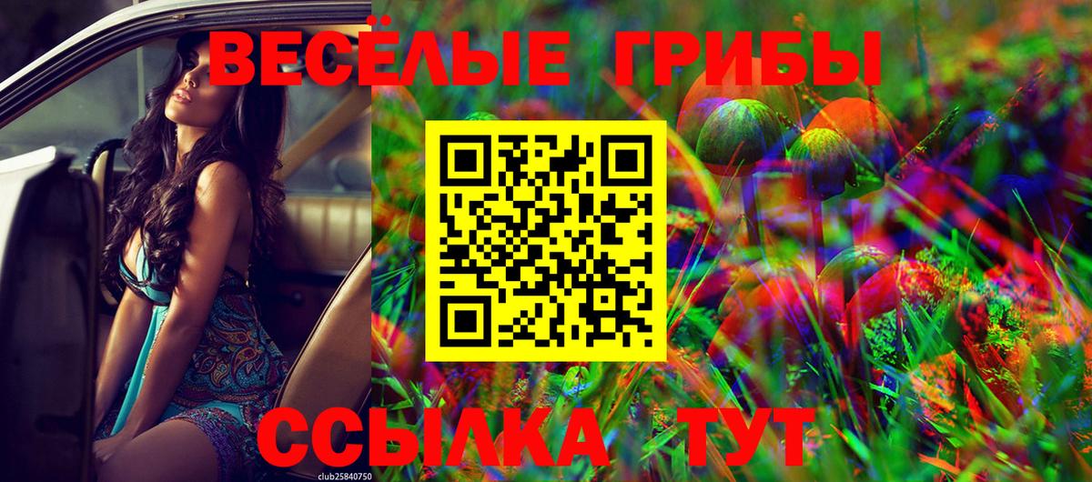Псилоцибиновые грибы MAGIC MUSHROOMS  Псилоцибиновые грибы Psilocybine cubensis  Светлоград  Вход с VPN 