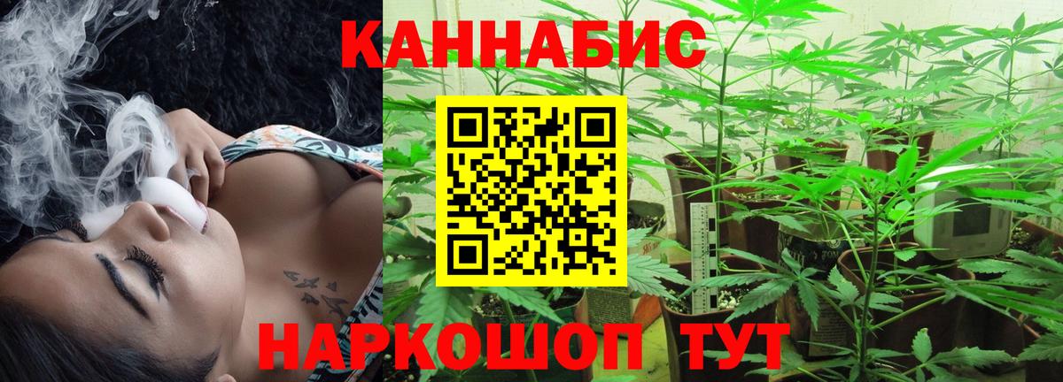Бошки марихуана сатива  Вход с VPN  Бошки марихуана Bruce Banner  Конопля MAZAR  Светлоград 